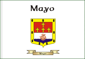 Irish County Flag