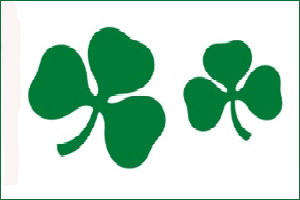 Irish Shamrock Flag