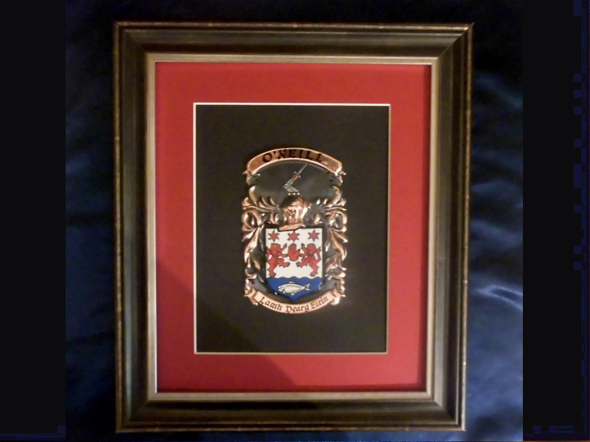 Framed Single Family Crest Plaque (14*16 inch)